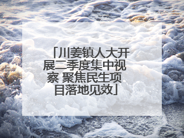 川姜镇人大开展二季度集中视察 聚焦民生项目落地见效