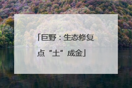 巨野：生态修复点“土”成金