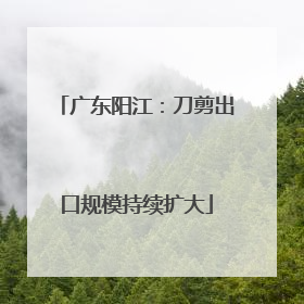 广东阳江：刀剪出口规模持续扩大
