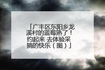 广丰区东阳乡龙溪村的蓝莓熟了！约起来 去体验采摘的快乐（图）