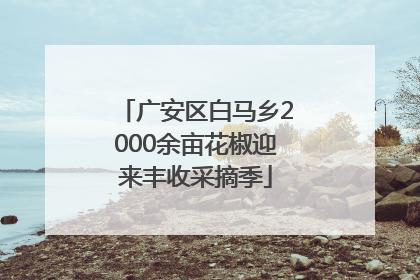 广安区白马乡2000余亩花椒迎来丰收采摘季