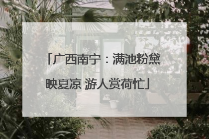 广西南宁：满池粉黛映夏凉 游人赏荷忙