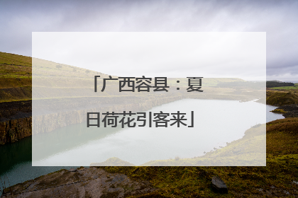 广西容县：夏日荷花引客来