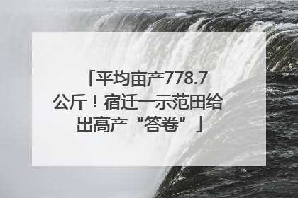 平均亩产778.7公斤！宿迁一示范田给出高产“答卷”