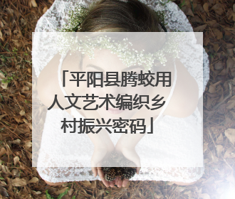 平阳县腾蛟用人文艺术编织乡村振兴密码