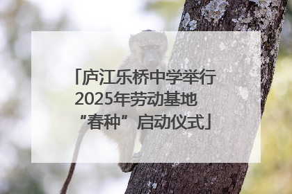 庐江乐桥中学举行2025年劳动基地“春种”启动仪式