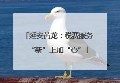 延安黄龙：税费服务“新”上加“心”