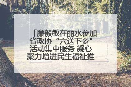 廉毅敏在丽水参加省政协“六送下乡”活动集中服务 凝心聚力增进民生福祉推进共同富裕