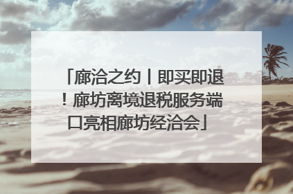 廊洽之约丨即买即退！廊坊离境退税服务端口亮相廊坊经洽会