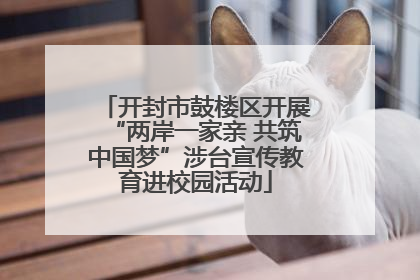 开封市鼓楼区开展“两岸一家亲 共筑中国梦”涉台宣传教育进校园活动