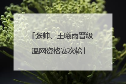 张帅、王曦雨晋级温网资格赛次轮