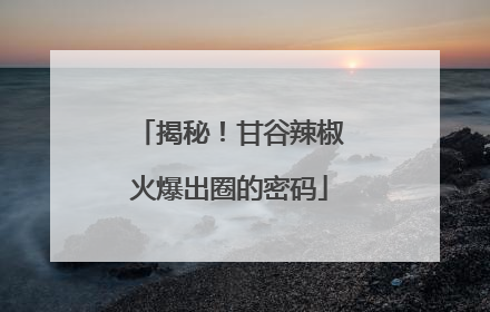 揭秘！甘谷辣椒火爆出圈的密码