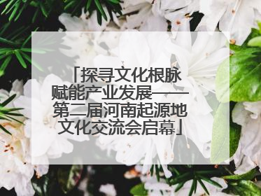 探寻文化根脉 赋能产业发展——第二届河南起源地文化交流会启幕