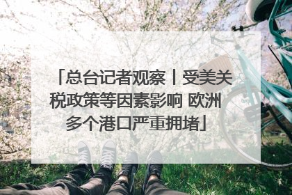 总台记者观察丨受美关税政策等因素影响 欧洲多个港口严重拥堵