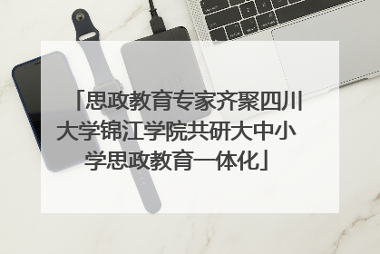 思政教育专家齐聚四川大学锦江学院共研大中小学思政教育一体化