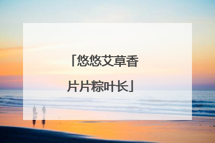 悠悠艾草香 片片粽叶长