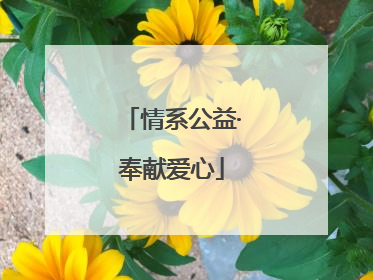 情系公益·奉献爱心