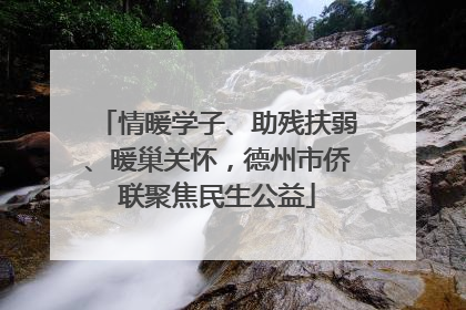 情暖学子、助残扶弱、暖巢关怀，德州市侨联聚焦民生公益