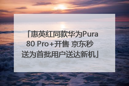 惠英红同款华为Pura 80 Pro+开售 京东秒送为首批用户送达新机