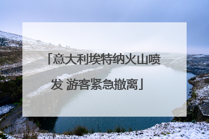 意大利埃特纳火山喷发 游客紧急撤离