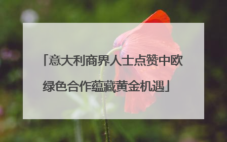 意大利商界人士点赞中欧绿色合作蕴藏黄金机遇
