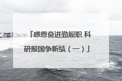 感恩奋进勤履职 科研报国争新绩（一）