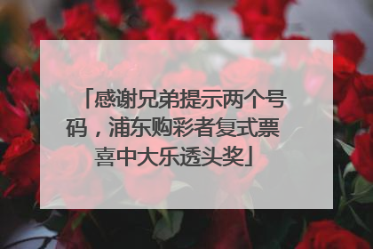 感谢兄弟提示两个号码，浦东购彩者复式票喜中大乐透头奖