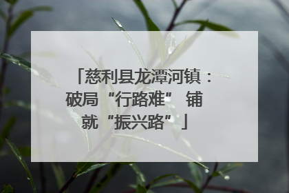 慈利县龙潭河镇：破局“行路难” 铺就“振兴路”