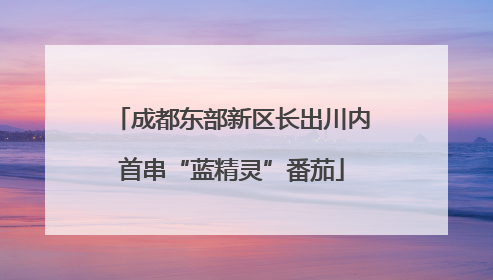 成都东部新区长出川内首串“蓝精灵”番茄