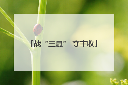 战“三夏” 夺丰收