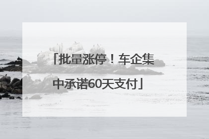 批量涨停！车企集中承诺60天支付