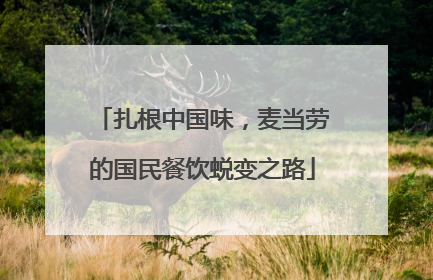 扎根中国味，麦当劳的国民餐饮蜕变之路