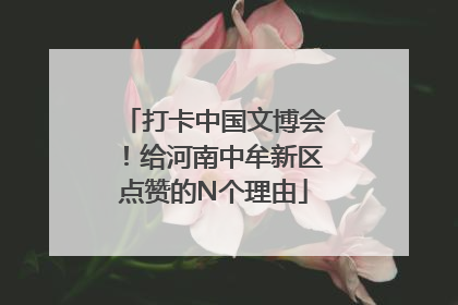 打卡中国文博会！给河南中牟新区点赞的N个理由