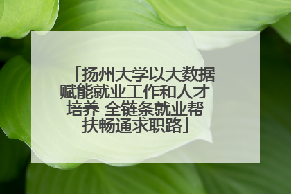 扬州大学以大数据赋能就业工作和人才培养 全链条就业帮扶畅通求职路