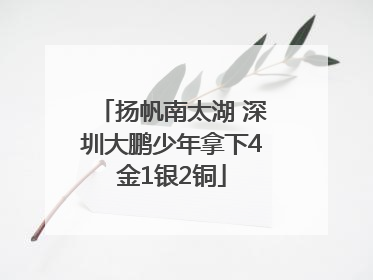 扬帆南太湖 深圳大鹏少年拿下4金1银2铜
