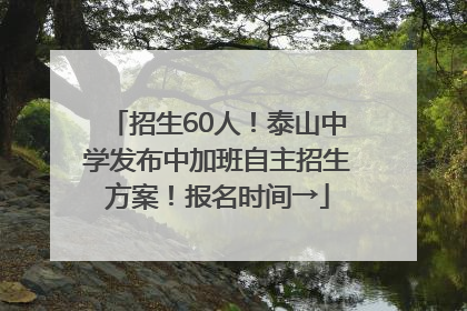 招生60人！泰山中学发布中加班自主招生方案！报名时间→