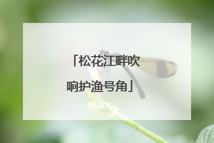 松花江畔吹响护渔号角