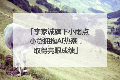 李家诚旗下小雨点小贷拥抱AI热潮，取得亮眼成绩