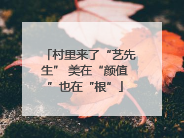 村里来了“艺先生” 美在“颜值”也在“根”