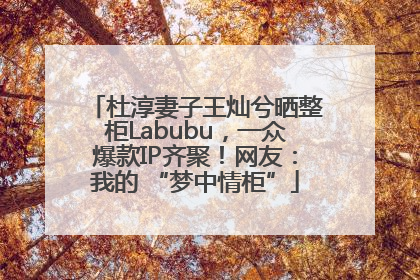 杜淳妻子王灿兮晒整柜Labubu，一众爆款IP齐聚！网友：我的 “梦中情柜”