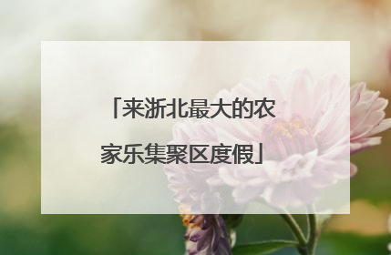 来浙北最大的农家乐集聚区度假