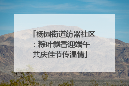 杨园街道纺器社区：粽叶飘香迎端午 共庆佳节传温情