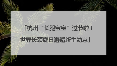 杭州“长腿宝宝”过节啦！世界长颈鹿日邂逅新生幼崽