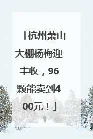 杭州萧山大棚杨梅迎丰收，96颗能卖到400元！