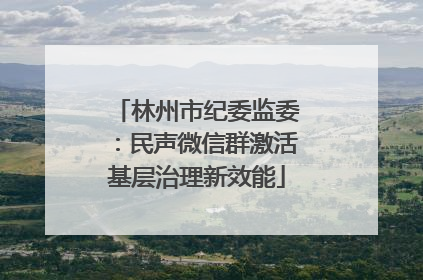 林州市纪委监委：民声微信群激活基层治理新效能