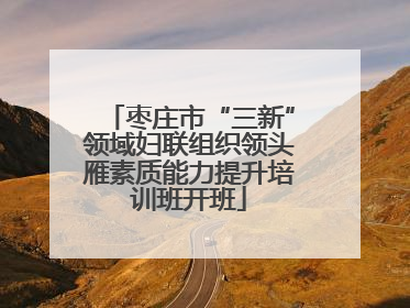枣庄市“三新”领域妇联组织领头雁素质能力提升培训班开班