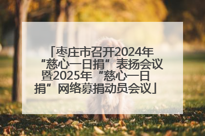 枣庄市召开2024年“慈心一日捐”表扬会议暨2025年“慈心一日捐”网络募捐动员会议