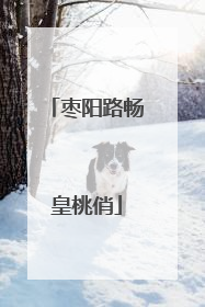 枣阳路畅皇桃俏