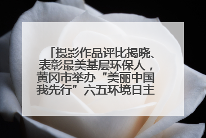 摄影作品评比揭晓、表彰最美基层环保人，黄冈市举办“美丽中国我先行”六五环境日主题宣传活动