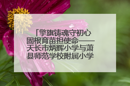擎旗铸魂守初心 固根育苗担使命——天长市炳辉小学与萧县师范学校附属小学结对共建活动纪实